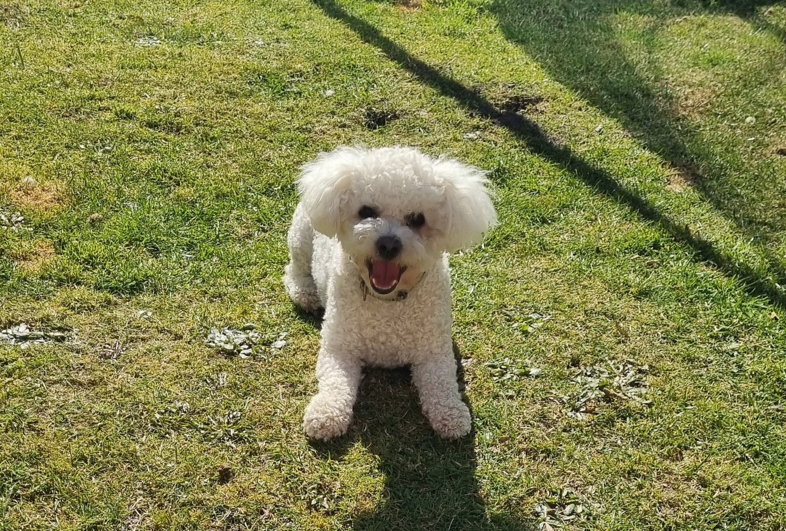Casper, EMASS Chief Comfort Officer