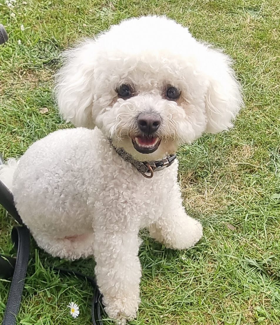 Casper, EMASS Chief Comfort Officer