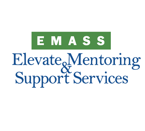 EMASS Ltd logo